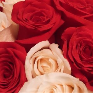 Meet your Posher, Regina